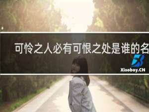 可怜之人必有可恨之处是谁的名言