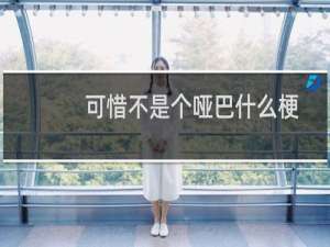 可惜不是个哑巴什么梗？可惜不是个哑巴是什么意思什么梗