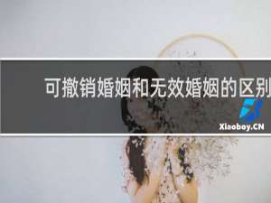 可撤销婚姻和无效婚姻的区别