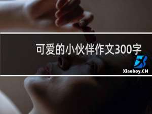 可爱的小伙伴作文300字