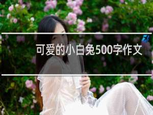 可爱的小白兔500字作文