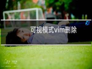 可视模式vim删除