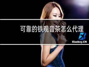 可靠的铁观音茶怎么代理