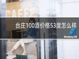 台庄100酒价格53度怎么样