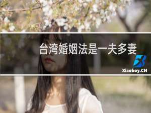 台湾婚姻法是一夫多妻