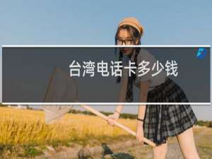 台湾电话卡多少钱