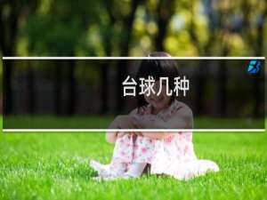 台球几种