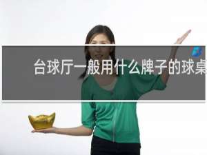 台球厅一般用什么牌子的球桌