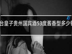 台皇子贵州国宾酒53度酱香型多少钱一瓶