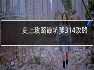 史上攻略最坑爹314攻略