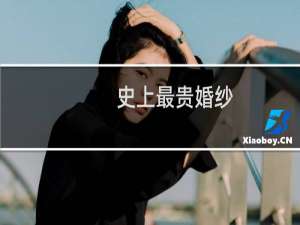 史上最贵婚纱