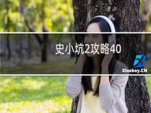 史小坑2攻略40