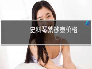 史科琴紫砂壶价格
