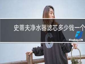 史蒂夫净水器滤芯多少钱一个