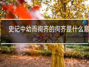 史记中幼而徇齐的徇齐是什么意思