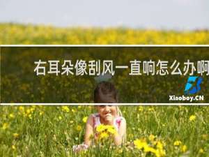 右耳朵像刮风一直响怎么办啊
