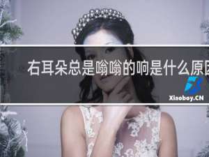 右耳朵总是嗡嗡的响是什么原因