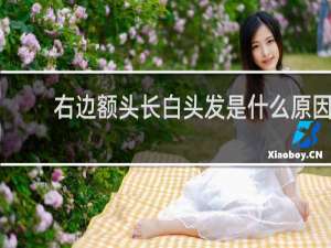 右边额头长白头发是什么原因