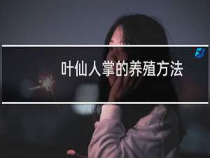 叶仙人掌的养殖方法