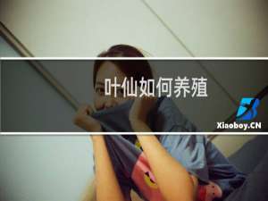 叶仙如何养殖