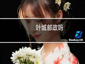 叶城邮政吗