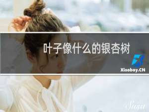 叶子像什么的银杏树