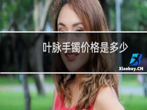 叶脉手镯价格是多少