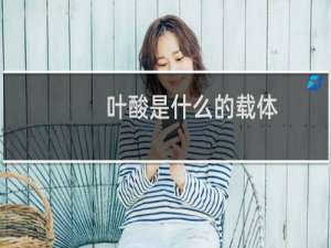 叶酸是什么的载体（叶酸是什么）