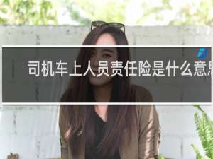 司机车上人员责任险是什么意思