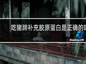 吃猪蹄补充胶原蛋白是正确的吗