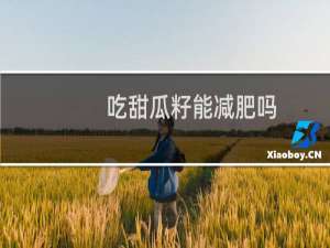 吃甜瓜籽能减肥吗