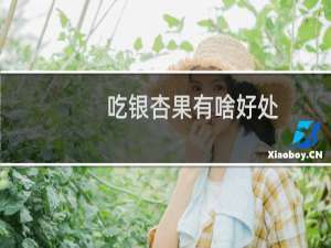 吃银杏果有啥好处