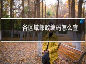 各区域邮政编码怎么查