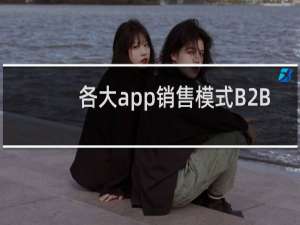 各大app销售模式B2B