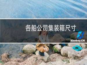 各船公司集装箱尺寸