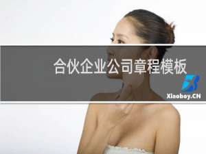 合伙企业公司章程模板