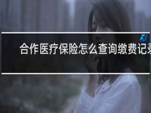 合作医疗保险怎么查询缴费记录