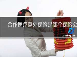 合作医疗意外保险是哪个保险公司