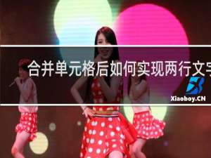 合并单元格后如何实现两行文字