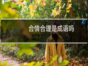 合情合理是成语吗