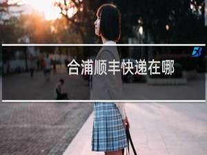 合浦顺丰快递在哪