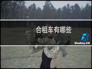 合租车有哪些