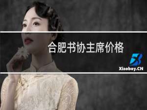 合肥书协主席价格