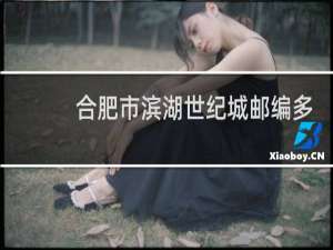 合肥市滨湖世纪城邮编多少