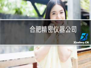 合肥精密仪器公司