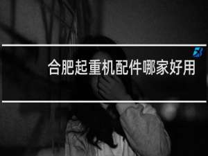 合肥起重机配件哪家好用