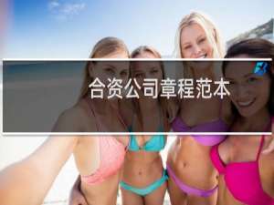 合资公司章程范本