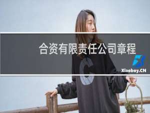 合资有限责任公司章程