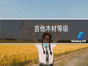 吉他木材等级
