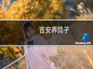 吉安养鸽子